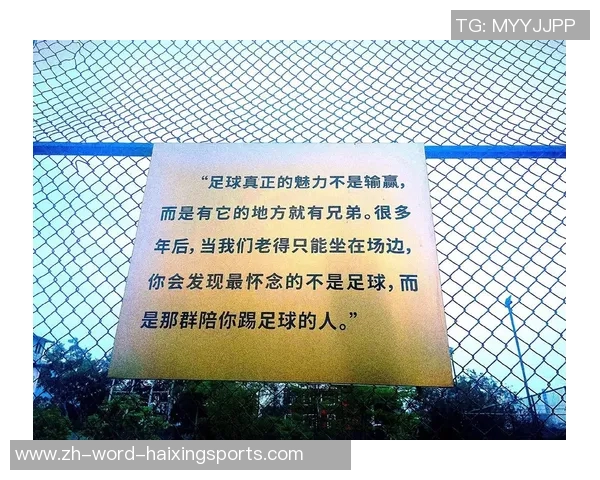 足球绝对:探讨足球运动的魅力与影响力,揭示其背后的文化与精神内涵